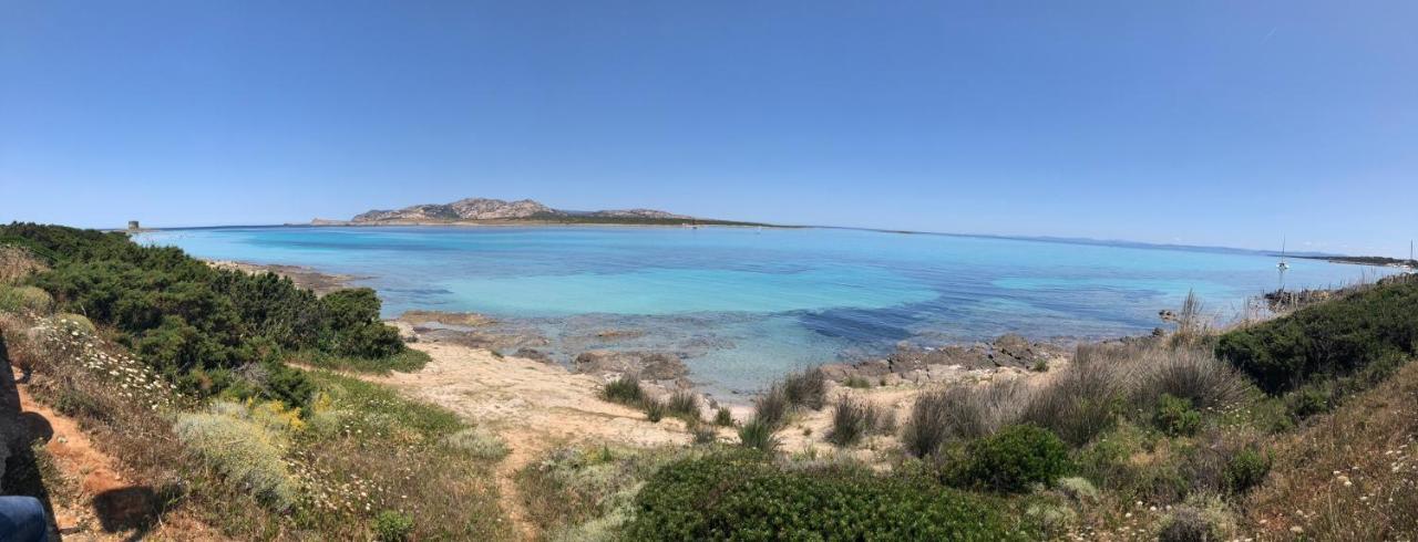 Rosaspe Stintino Cuile Ezi Mannu Exterior foto